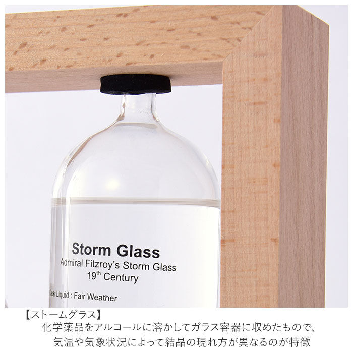 BACKYARD FAMILY「温度計＆ストームグラス 通販 気象計 天気予報 温度計 天気管 ガリレオ温度計 ガリレオ」|その他|