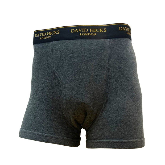 BACKYARD FAMILY「ボクサーパンツ メンズ セット 4枚 通販 ちょい漏れパンツ David Hicks」|インナー|