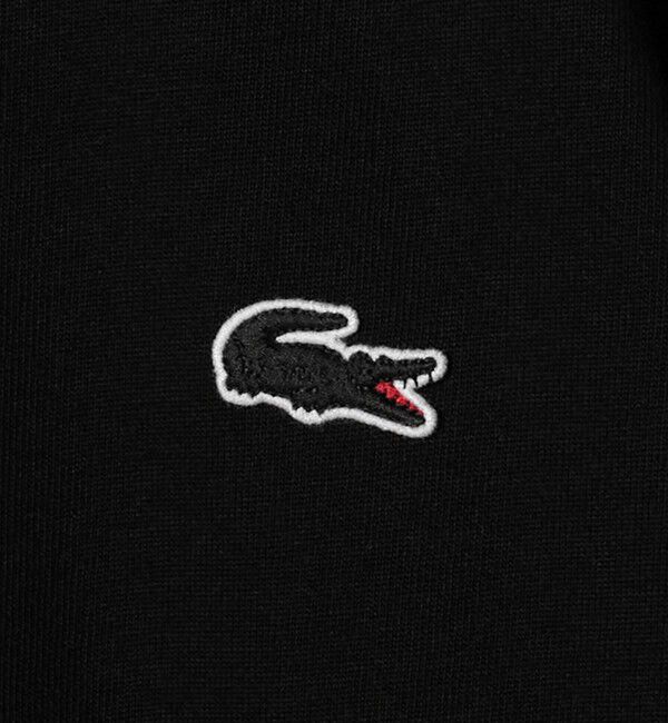 BEAUTY&YOUTH UNITED ARROWS「＜LACOSTE＞1ポイント ロングスリーブ Tシャツ」|Tシャツ・カットソー|