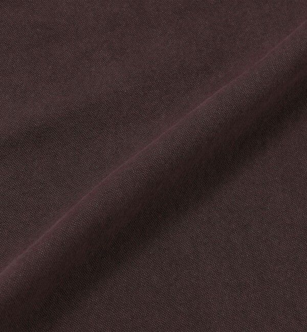 SHIPS「City Ambient Products: ウォッシュ ダック バギー ワーク パンツ」|その他|