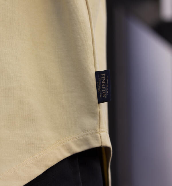 GLOSTER「【PENDLETON/ペンドルトン】バックプリント ラグランTシャツ ラウンドテール」|Tシャツ・カットソー|