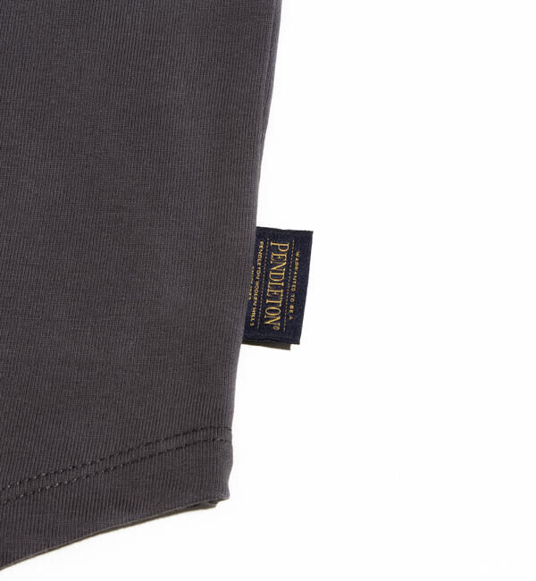 GLOSTER「【PENDLETON/ペンドルトン】バックプリント ラグランTシャツ ラウンドテール」|Tシャツ・カットソー|