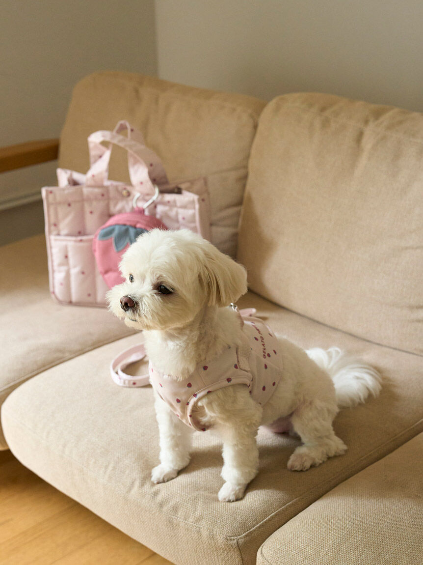 GELATO PIQUE CAT&DOG「【CAT&DOG】【販路限定商品】ストロベリーキルティングお散歩バッグＭ」|その他|