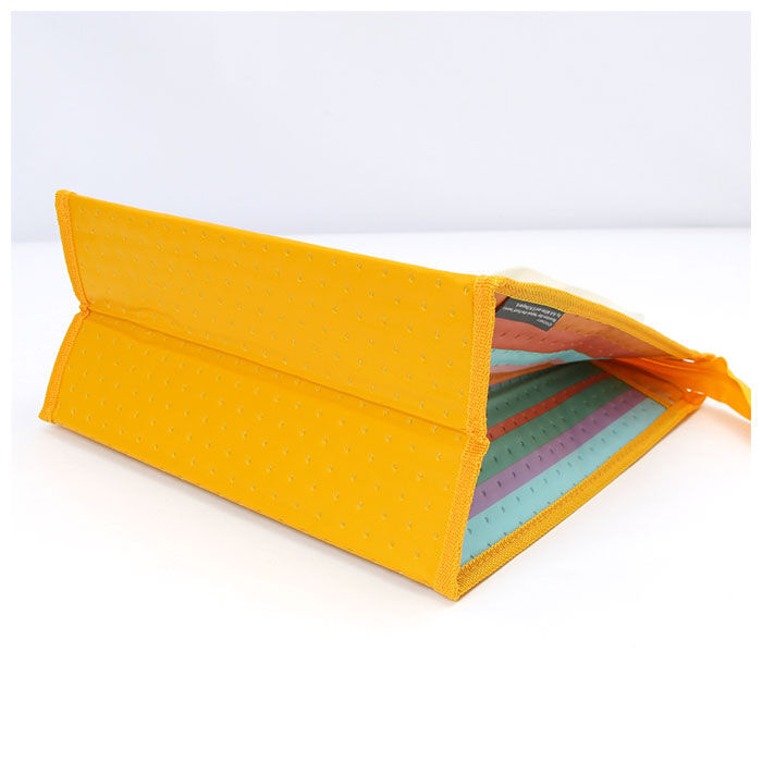 BACKYARD FAMILY「SKATER スケーター ランチバッグ 保冷 キャラクター 不織布 ランチバック 通販 大きめ」|エコバッグ|