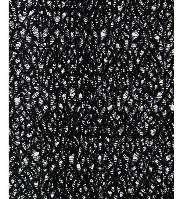 SALON adam et rope'「レースシアーワンピース」|ワンピース|