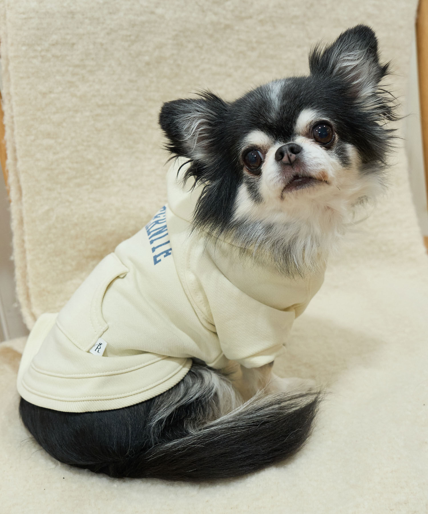 ROPE PICNIC PASSAGE「【DOG】リンクコーデ/カレッジプリントショートフーディー」|その他|