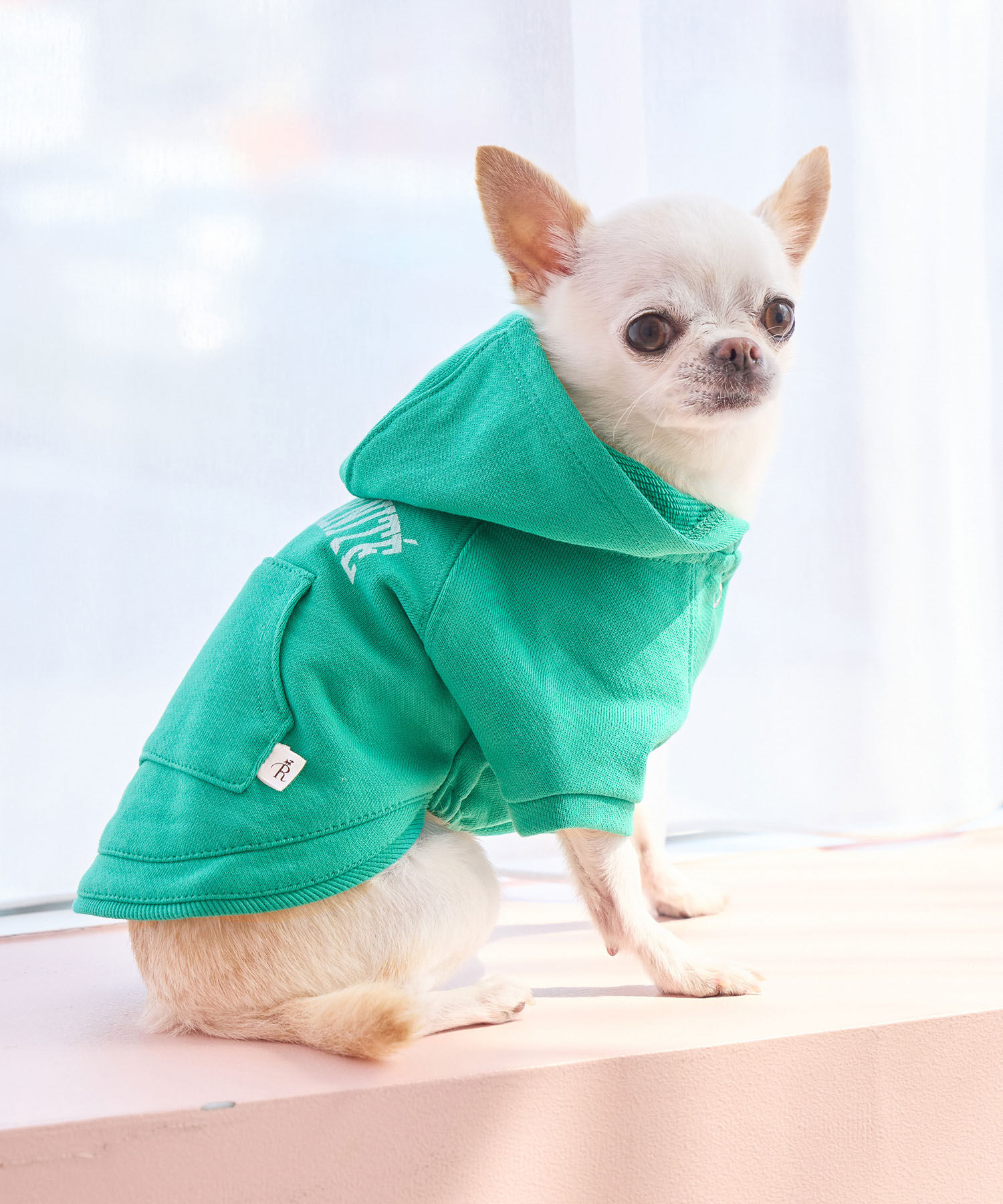 ROPE PICNIC PASSAGE「【DOG】リンクコーデ/カレッジプリントショートフーディー」|その他|グリーン(30)