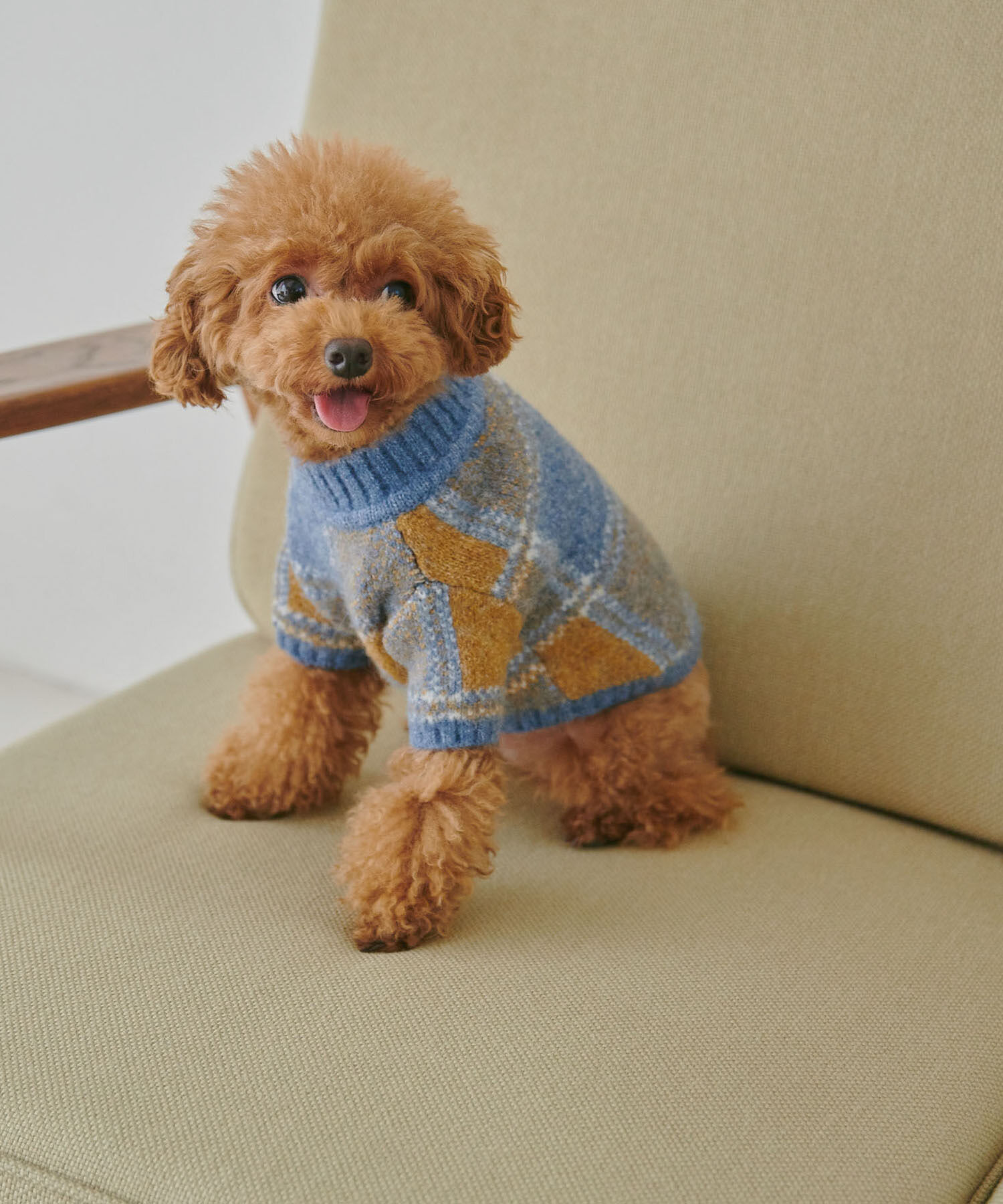 ROPE PICNIC PASSAGE「【DOG】アソート柄ニット/リンクコーデ」|その他|ブルー(44)