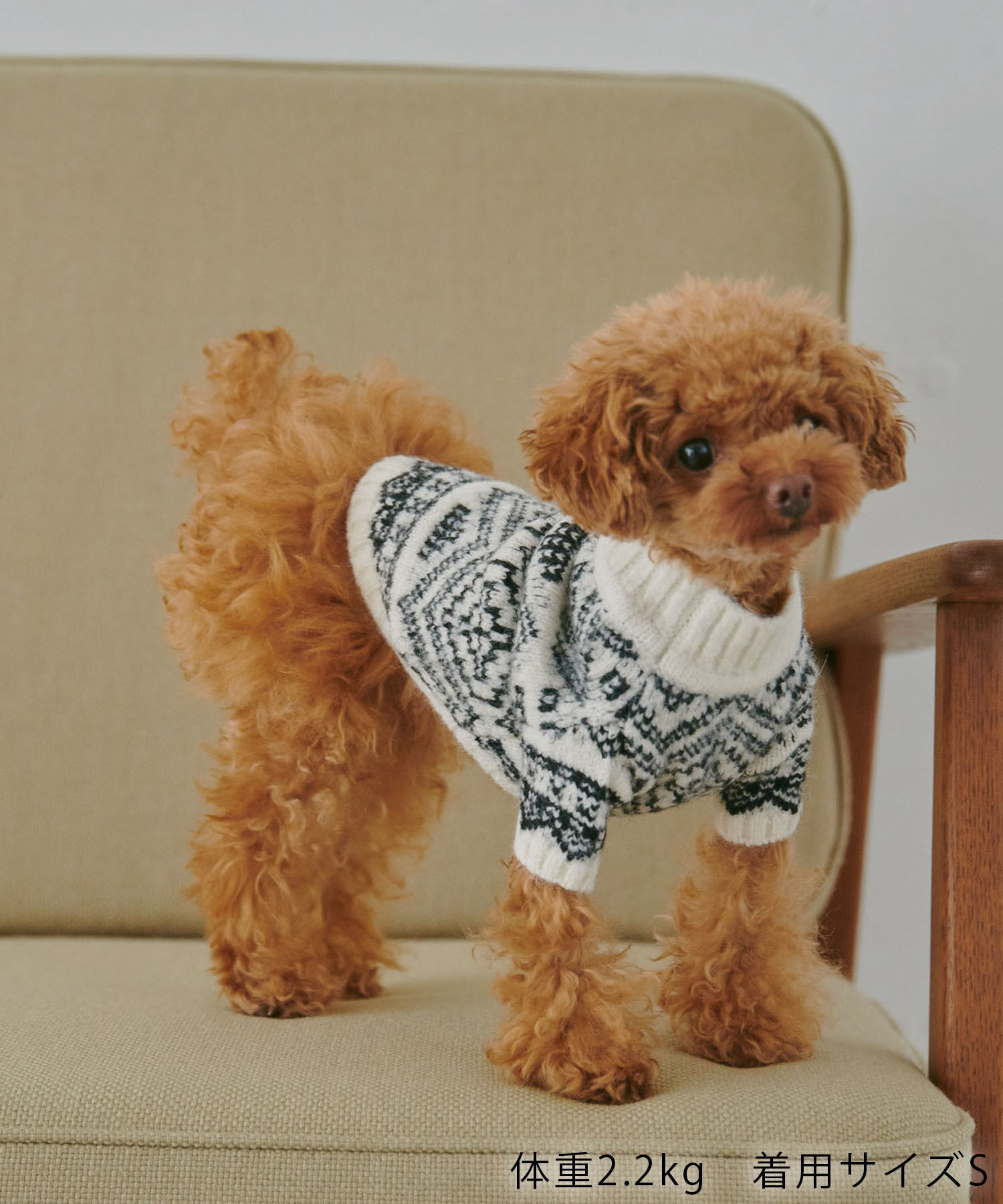 ROPE PICNIC PASSAGE「【DOG】アソート柄ニット/リンクコーデ」|その他|