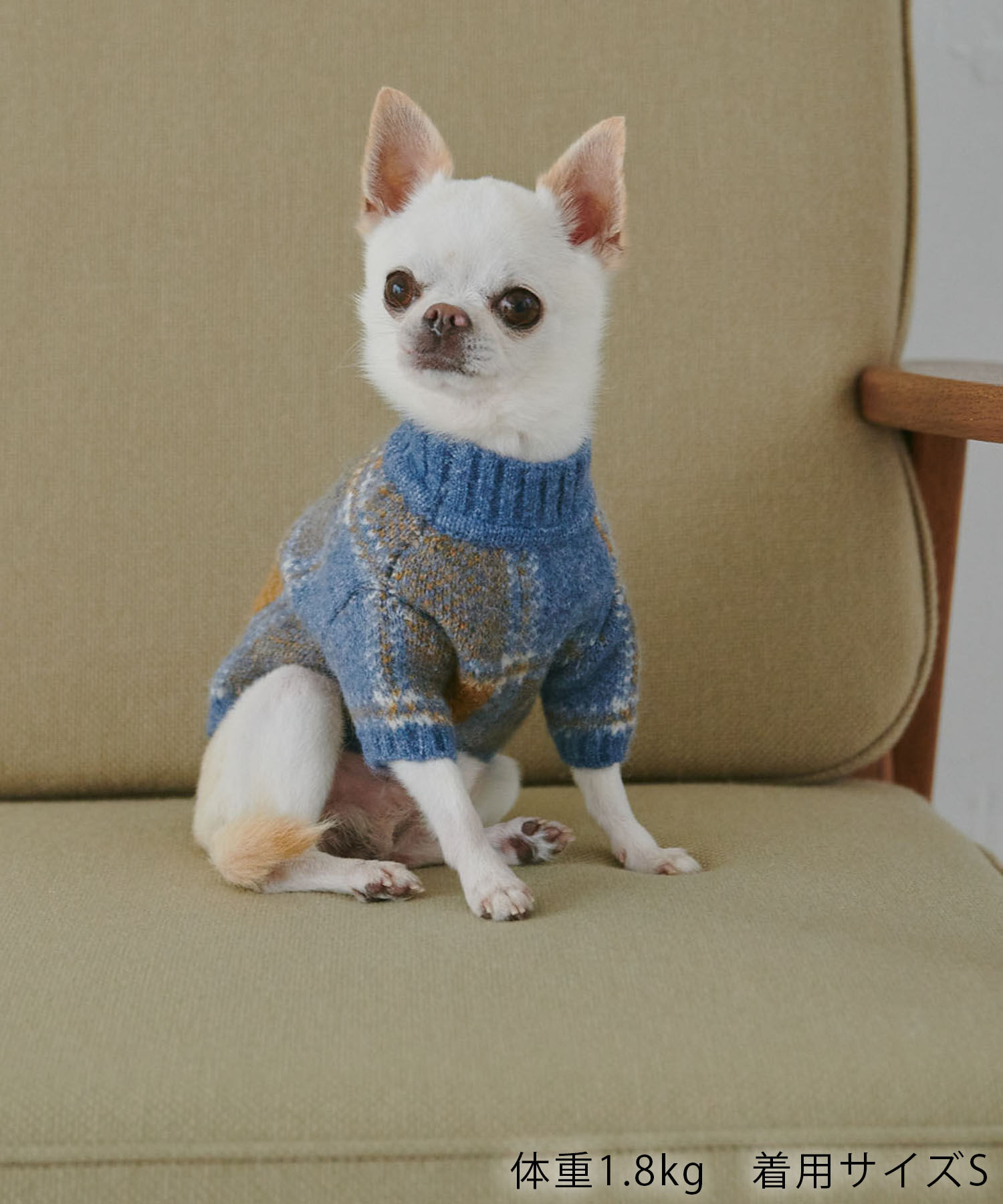 ROPE PICNIC PASSAGE「【DOG】アソート柄ニット/リンクコーデ」|その他|