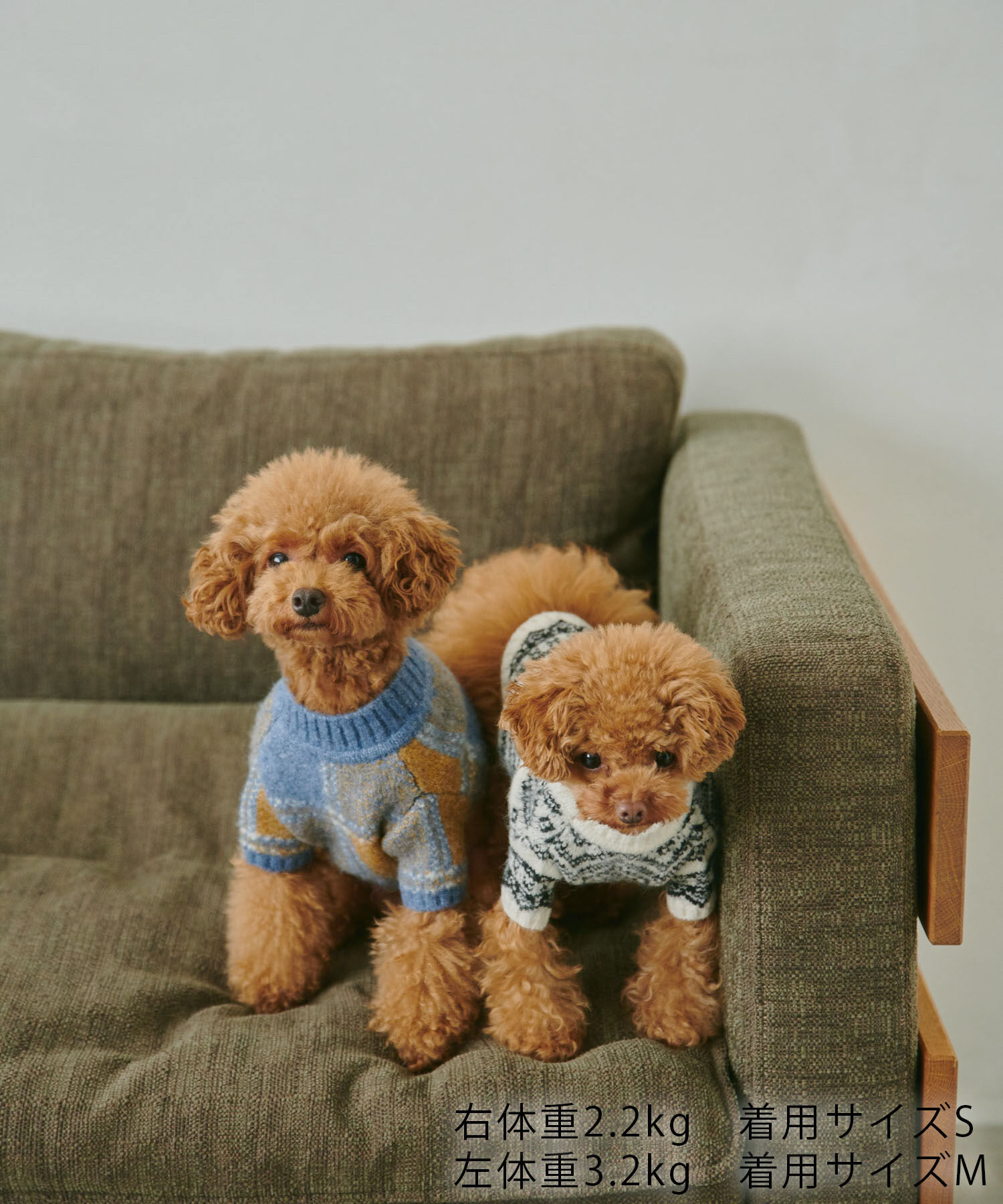 ROPE PICNIC PASSAGE「【DOG】アソート柄ニット/リンクコーデ」|その他|