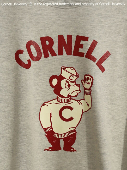  「Cornell University(R)スウェット」|Tシャツ・カットソー|