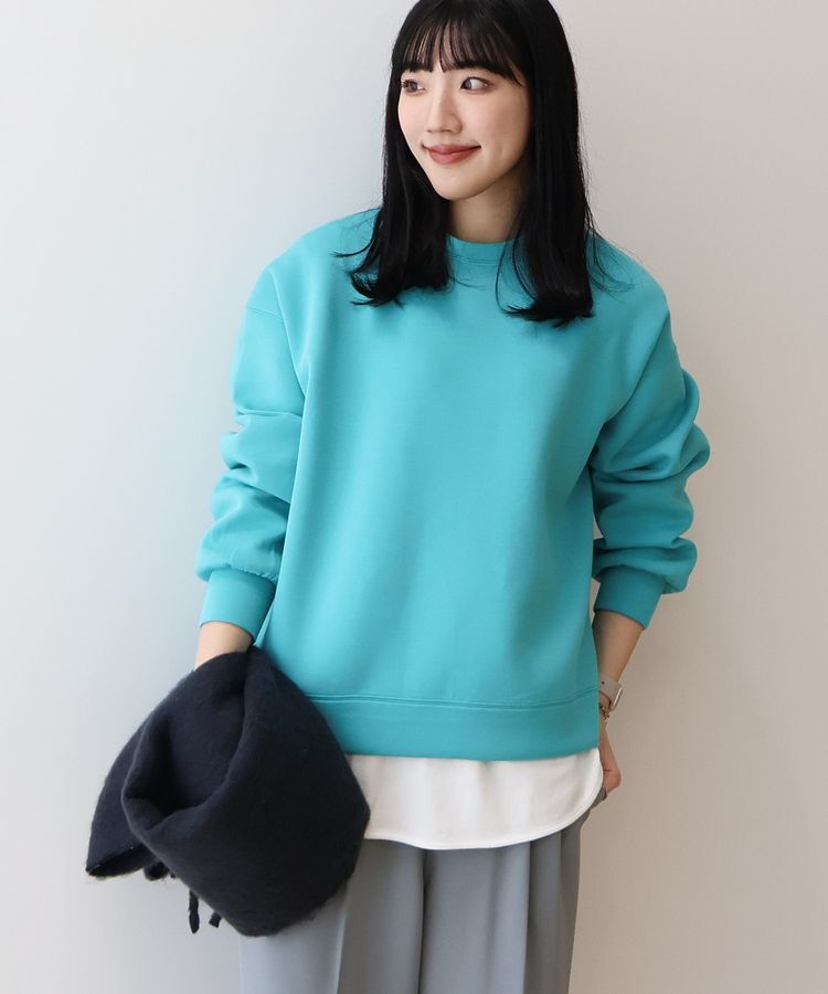 AMERICAN HOLIC「サイドスリットポンチプルオーバー」|スウェット・ジャージ|