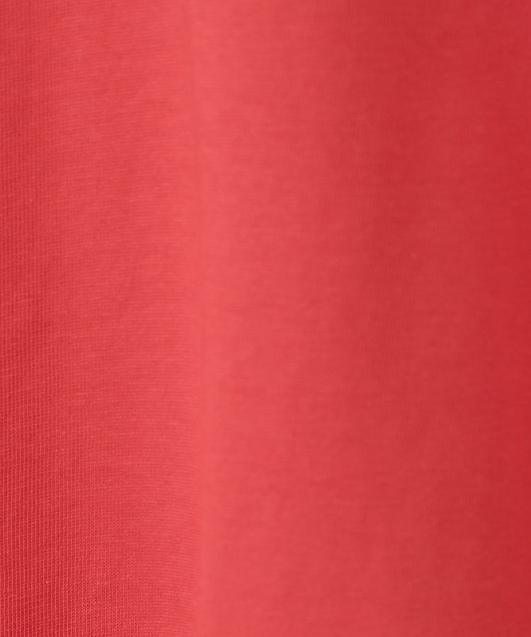 Green Parks「今年っぽチュールドッキングプルオーバー」|Tシャツ・カットソー|