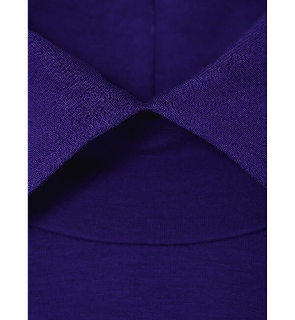 mizuiro ind「mizuiro ind シャツカラーハイネックプルオーバー」|Tシャツ・カットソー|