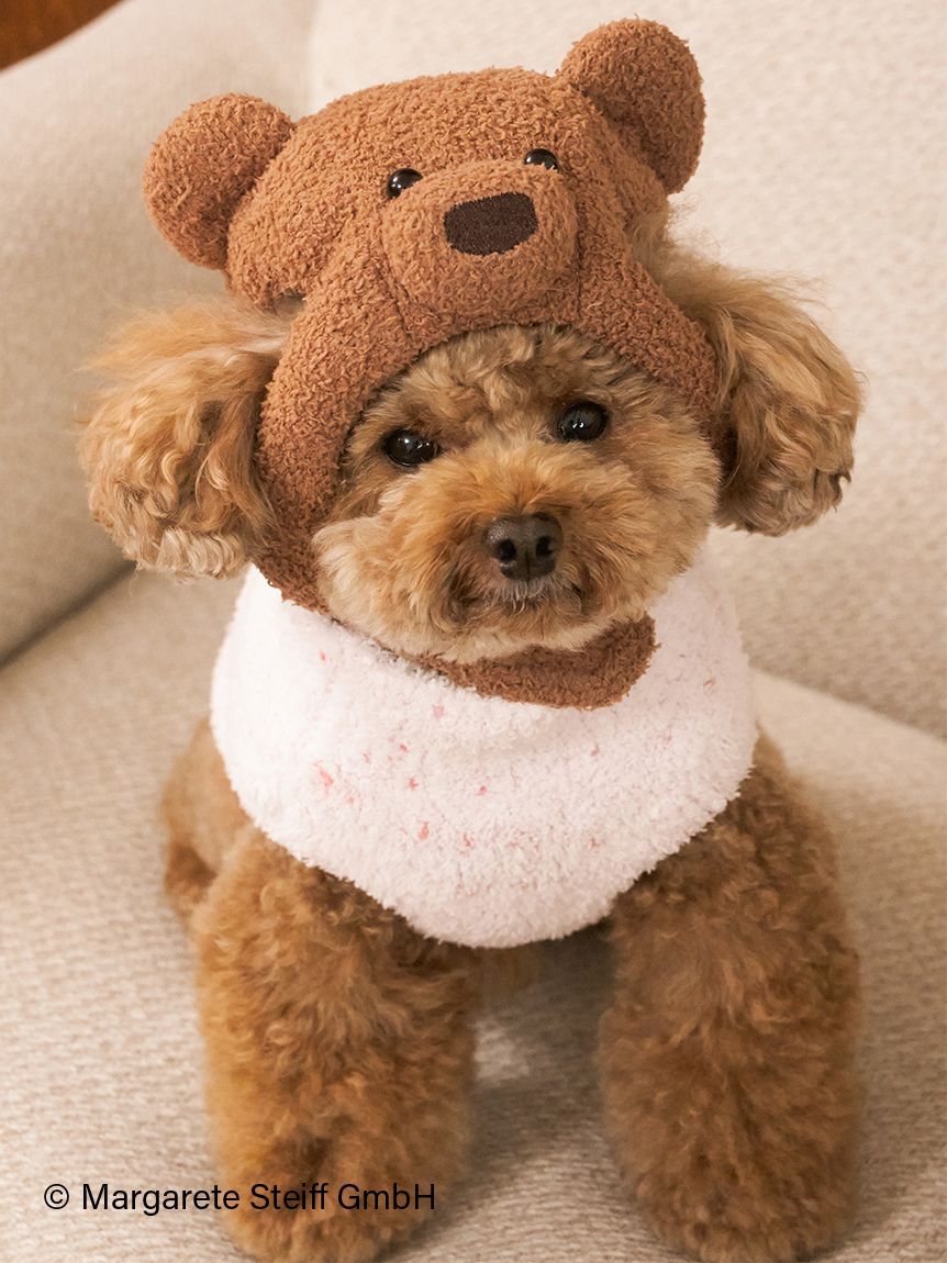  GELATO PIQUE CAT&DOG「【Steiff】【CAT&DOG】ニットキャップ」|その他|BRW