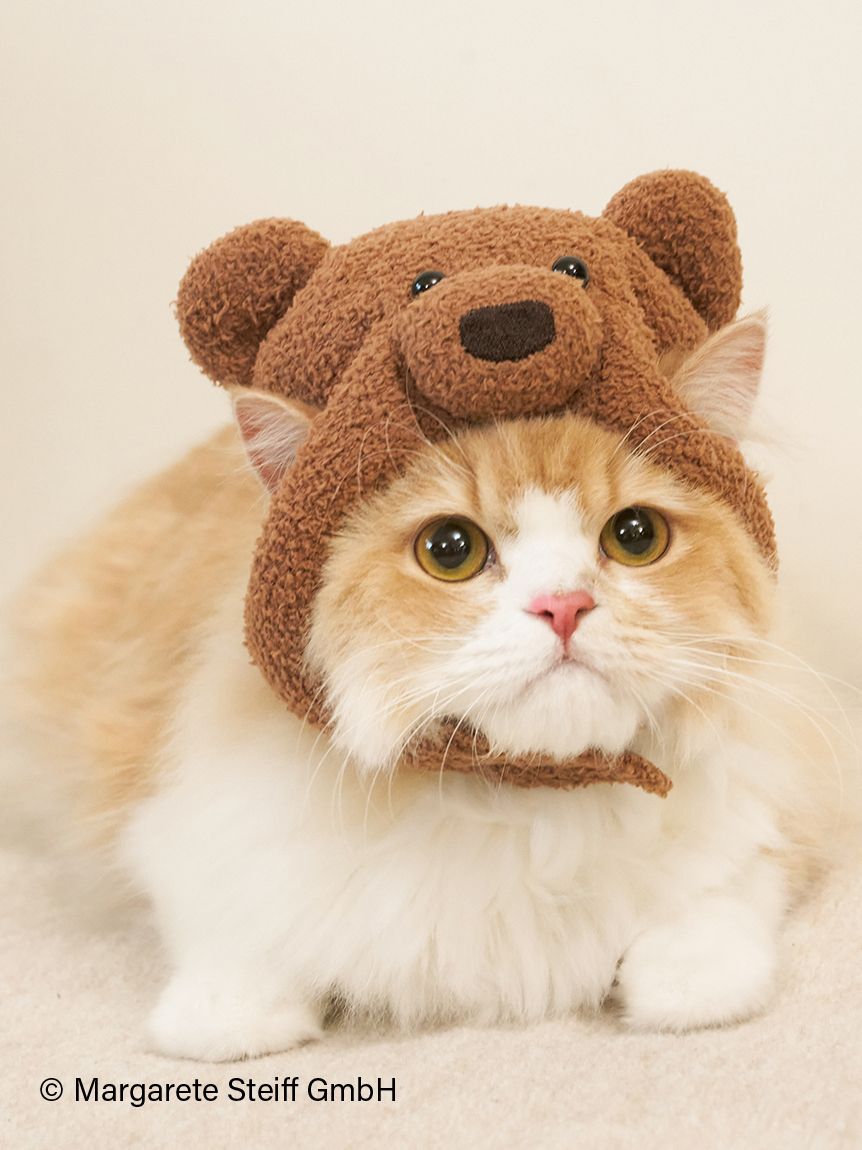  GELATO PIQUE CAT&DOG「【Steiff】【CAT&DOG】ニットキャップ」|その他|