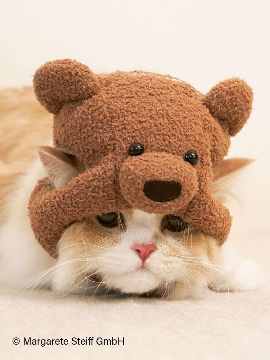  GELATO PIQUE CAT&DOG「【Steiff】【CAT&DOG】ニットキャップ」|その他|