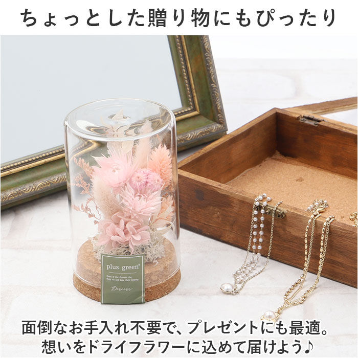 BACKYARD FAMILY「ドライフラワー ガラス 通販 ボトルフラワー コルクボトル 75 フラワーアレンジメント」|その他|