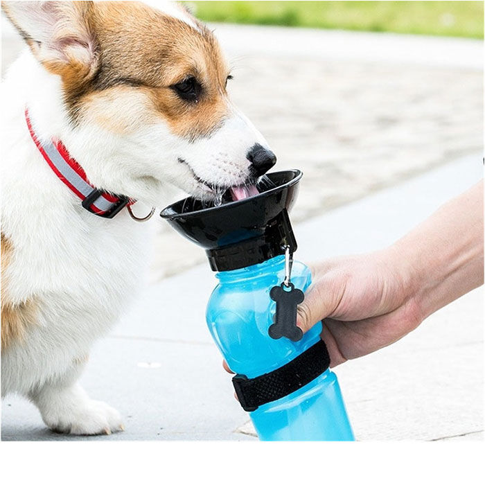 BACKYARD FAMILY「犬 水飲み 散歩 通販 水入れ 皿付き 水筒 ウォーターボトル 携帯水筒 水飲み器 ボウル ボトル」|その他|