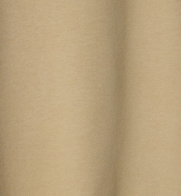 UNITED ARROWS green label relaxing「＜LACOSTE＞ロングスリーブ スウェット」|スウェット・ジャージ|