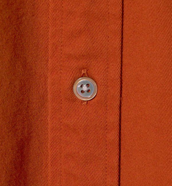 BEAUTY&YOUTH UNITED ARROWS「ダブルブラッシュ コットン レギュラーシャツ FORM型」|シャツ・ブラウス|