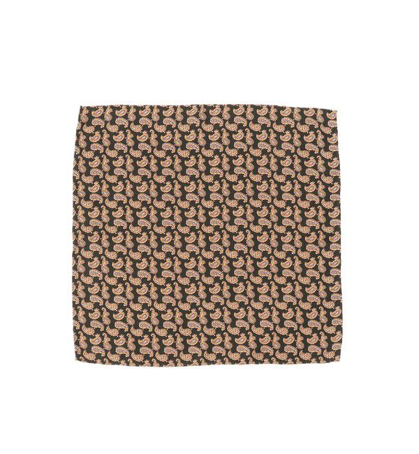 BEAMS PLUS「BEAMS PLUS / ペイズリー柄 チーフ」|ハンカチ|GREEN