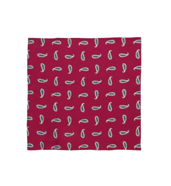 BEAMS PLUS「BEAMS PLUS / ペイズリー プリント シルク チーフ」|ハンカチ|