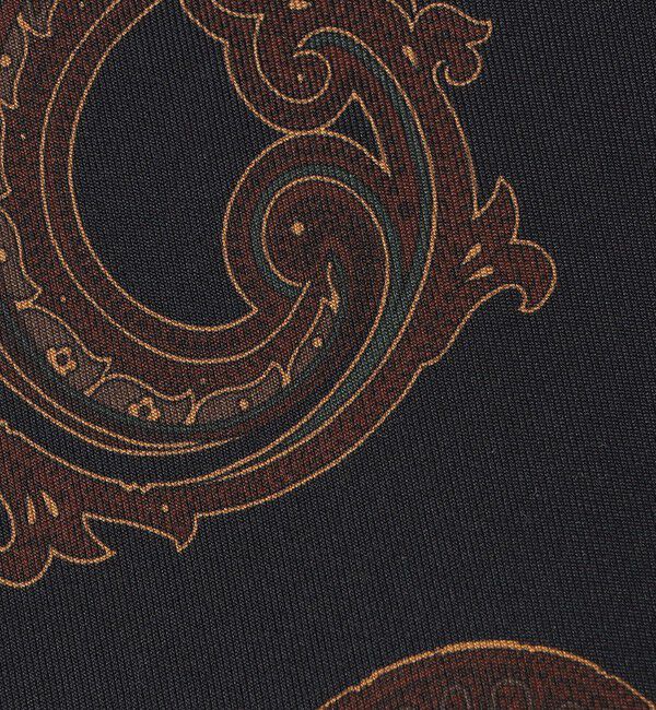 SHIPS「SHIPS: カネパ社製ファブリック プリント ペイズリー ネクタイ」|ネクタイ・蝶ネクタイ|