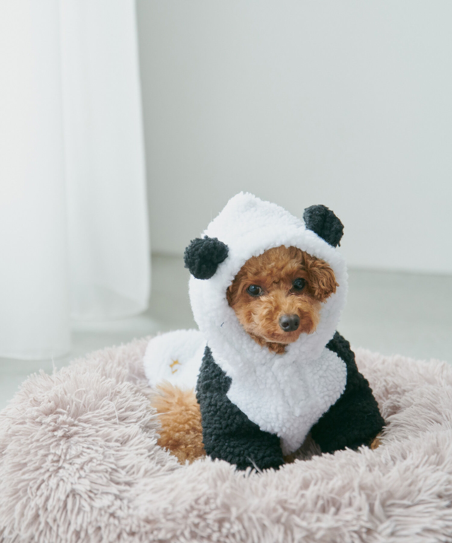 ROPE PICNIC PASSAGE「【DOG】耳付きフードボア　」|その他|ブラック(01)