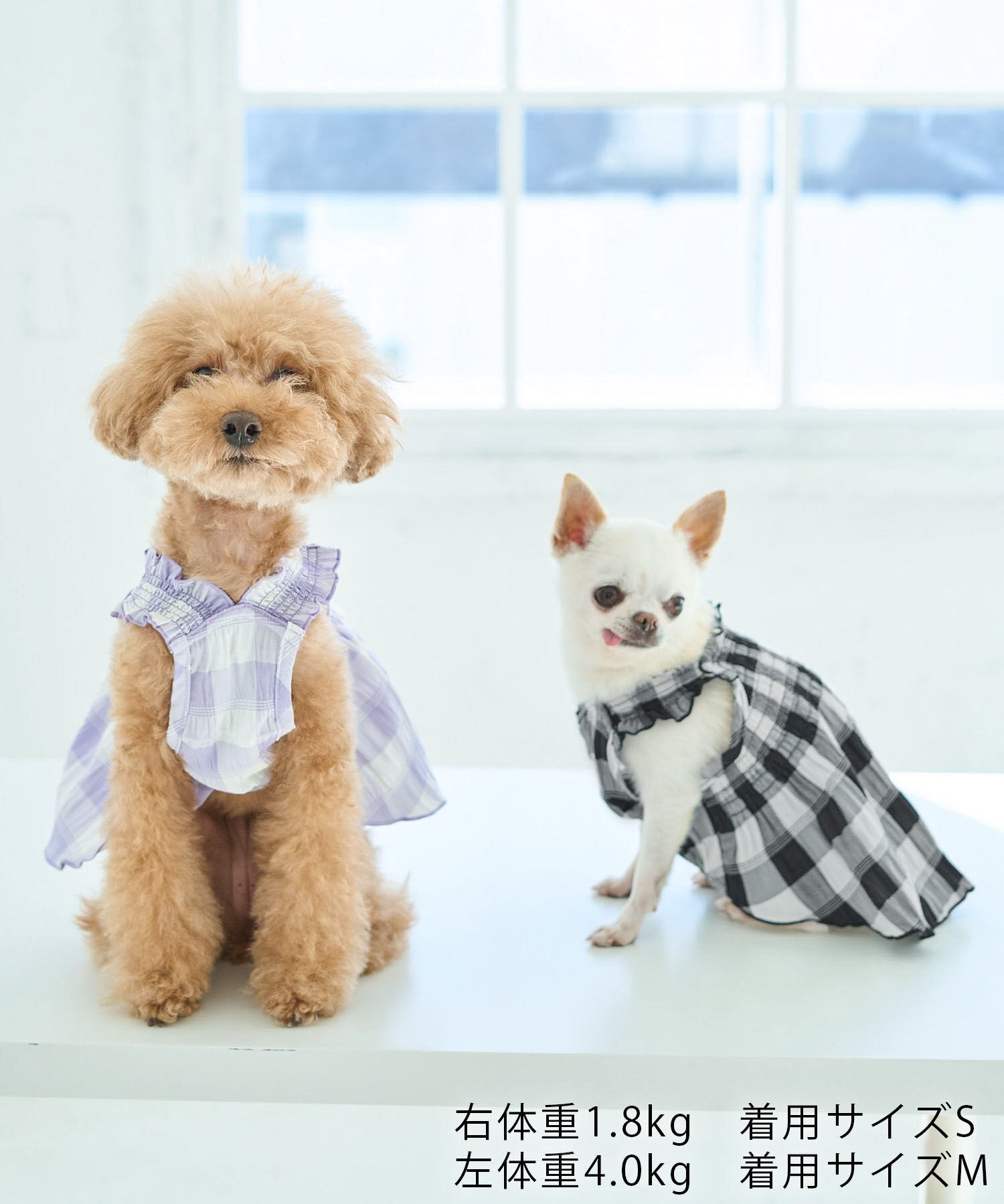 ROPE PICNIC PASSAGE「【DOG】ギンガムチェック柄ワンピース」|その他|