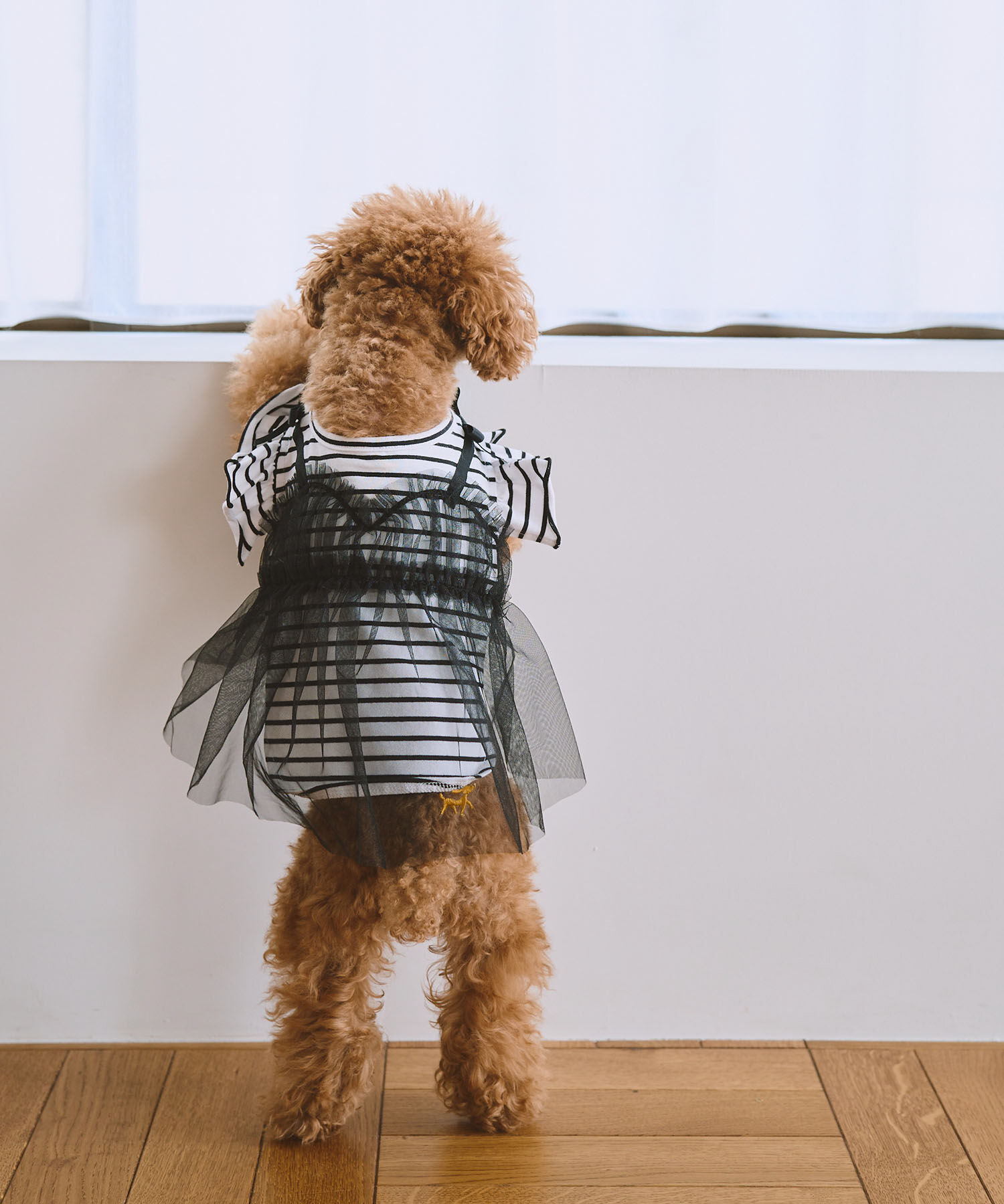 ROPE PICNIC PASSAGE「【DOG】キャミチュールドッキングワンピース」|その他|ブラック(01)