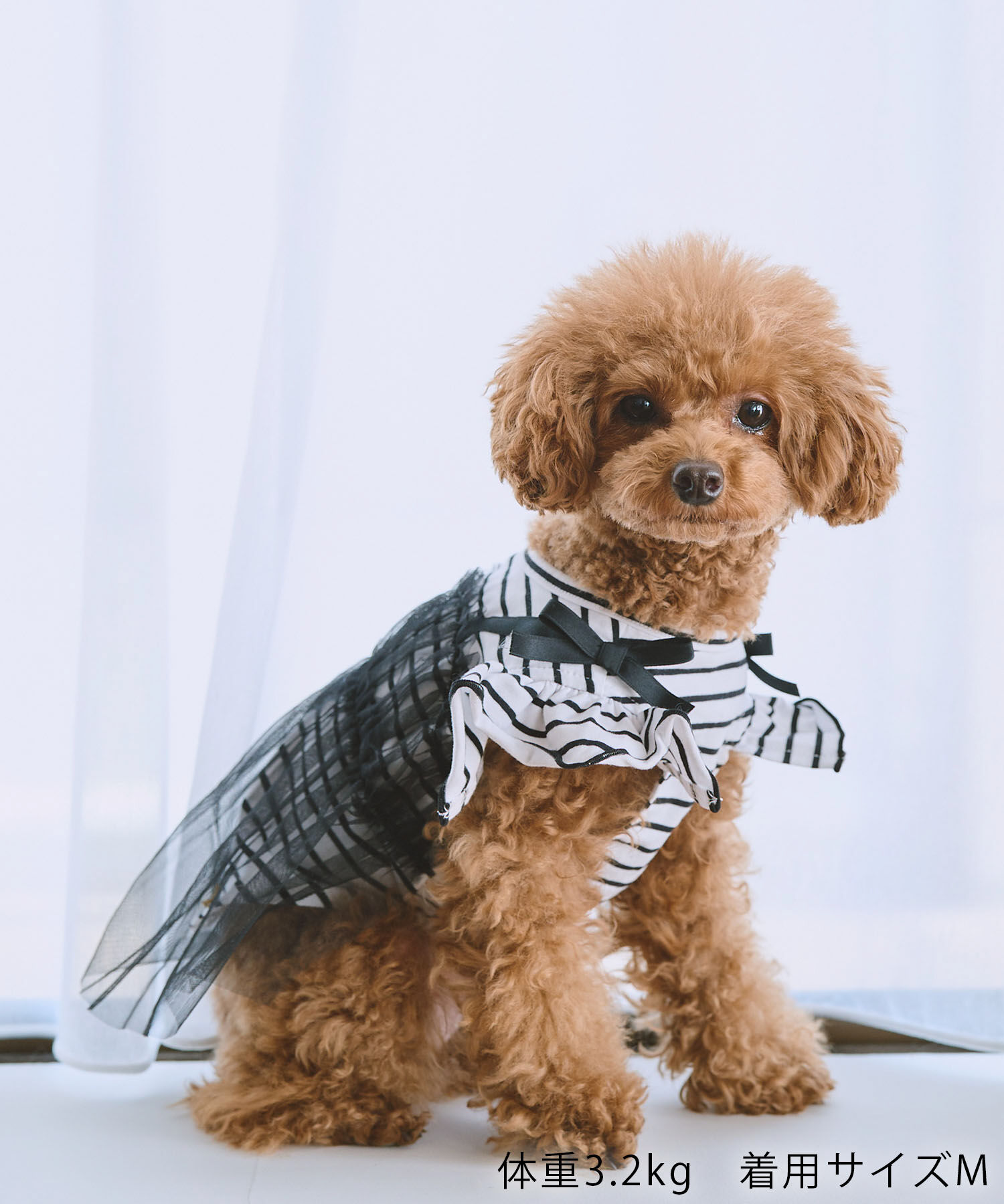 ROPE PICNIC PASSAGE「【DOG】キャミチュールドッキングワンピース」|その他|