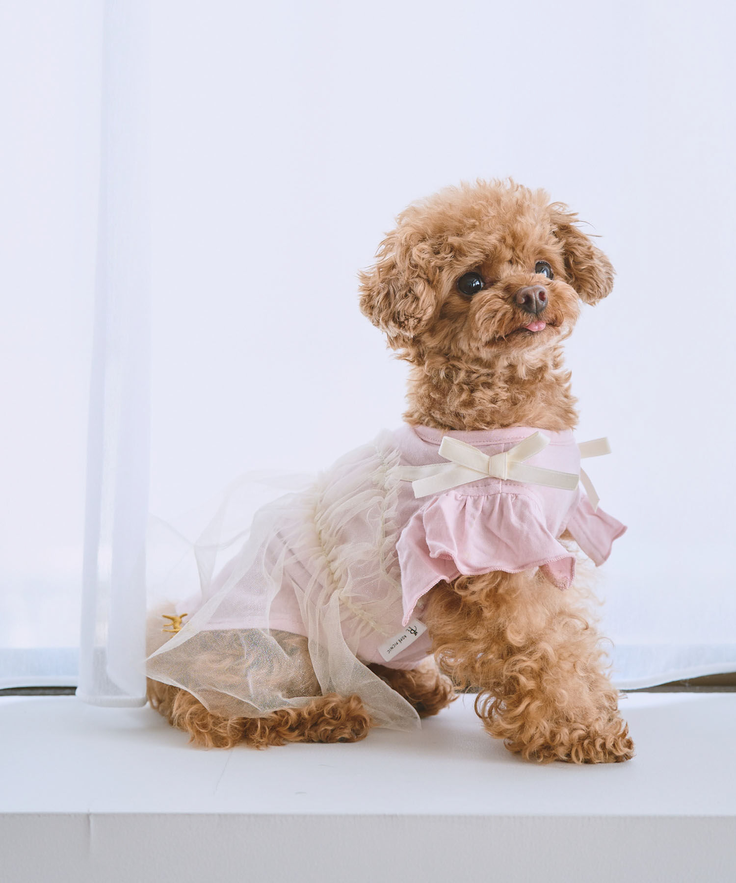 ROPE PICNIC PASSAGE「【DOG】キャミチュールドッキングワンピース」|その他|ピンク(63)