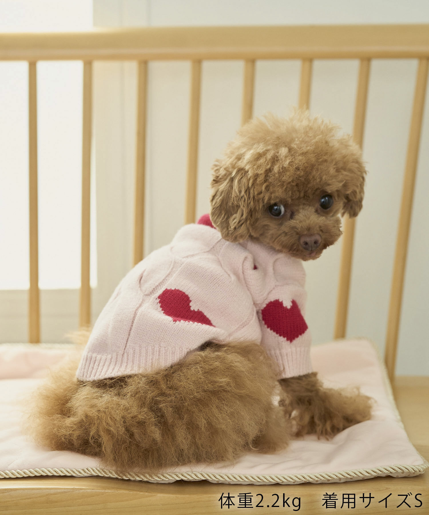 ROPE PICNIC PASSAGE「【DOG】ケーブルハートニット」|その他|