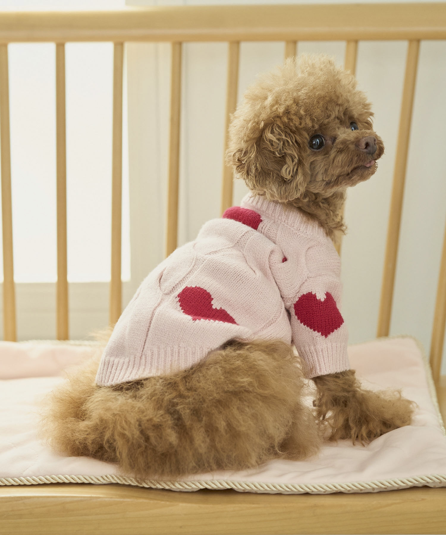 ROPE PICNIC PASSAGE「【DOG】ケーブルハートニット」|その他|