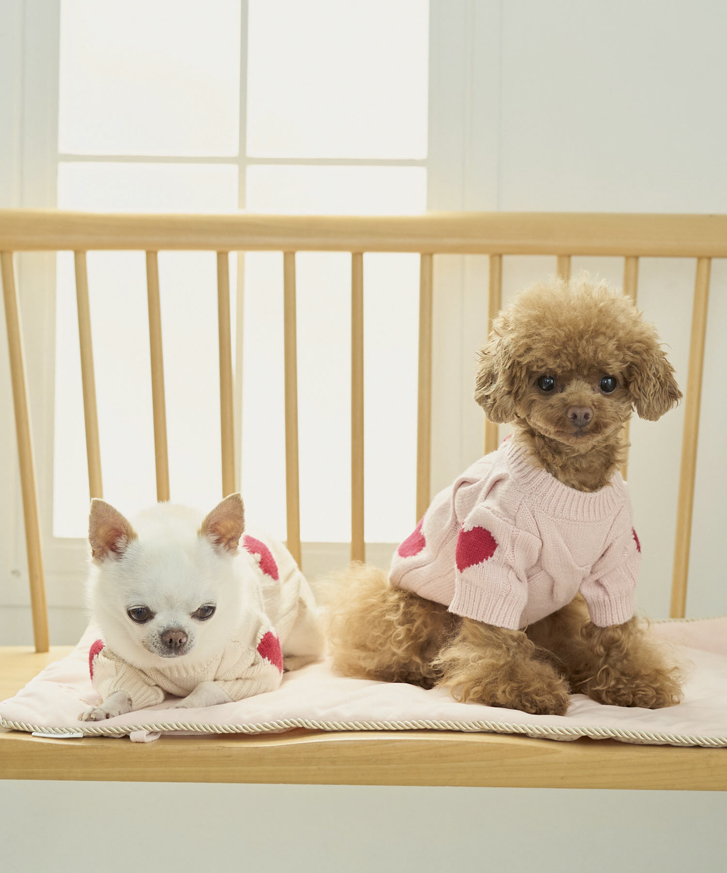 ROPE PICNIC PASSAGE「【DOG】ケーブルハートニット」|その他|