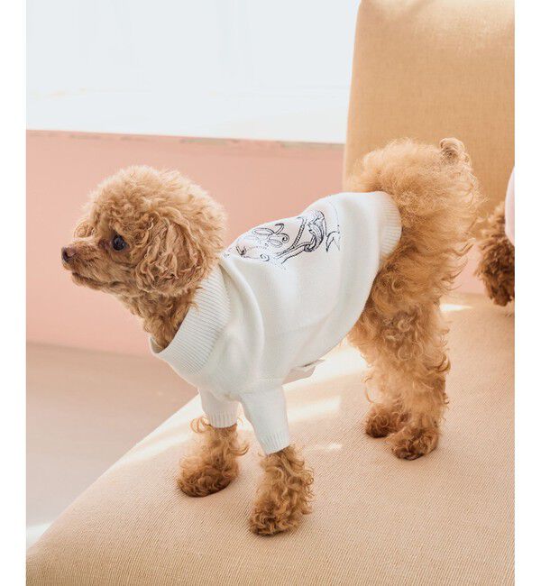 ROPE PICNIC PASSAGE「【DOG】スエットライク刺繍ニット/リンクコーデ」|その他|