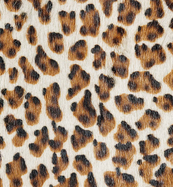 Rouge vif「【MASTER & CO】ヘアカーフカードケース / コインケース / 本革 /」|財布|