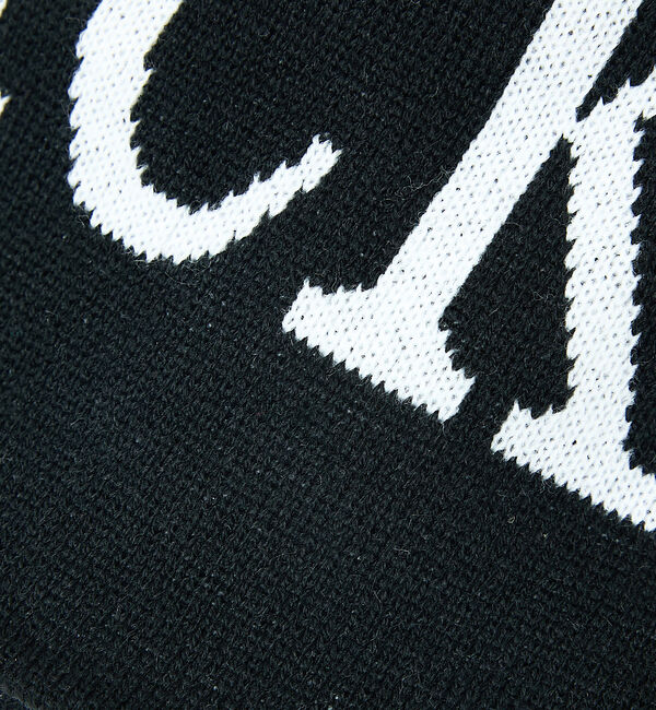 Rouge vif「【DICKIES/ディッキーズ】BIG LOGO BEANIE/ビッグロゴビーニ」|その他|