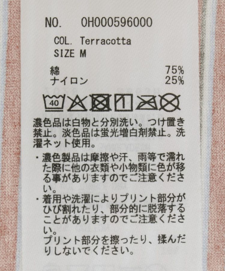 AMERICAN HOLIC「シアーレトロボーダー半袖プルオーバー」|Tシャツ・カットソー|