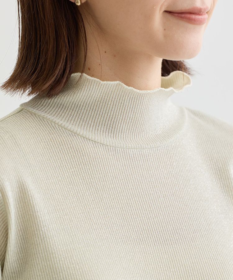 Green Parks「ラメリブタートルプルオーバー」|その他|