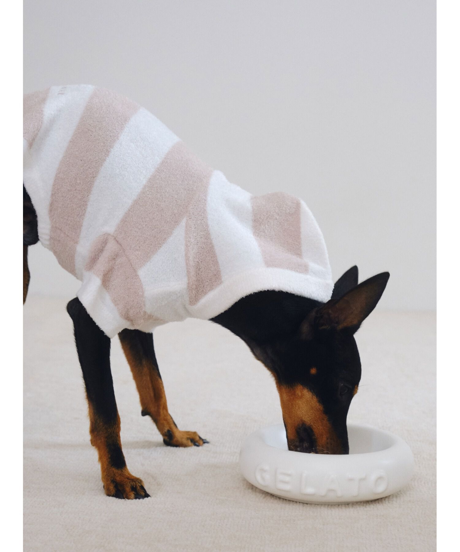  GELATO PIQUE CAT&DOG「【CAT&DOG】【販路限定商品】フードボウル」|その他|OWHT