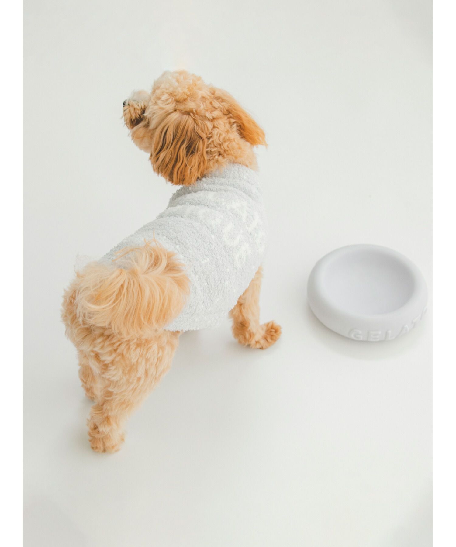  GELATO PIQUE CAT&DOG「【CAT&DOG】【販路限定商品】フードボウル」|その他|