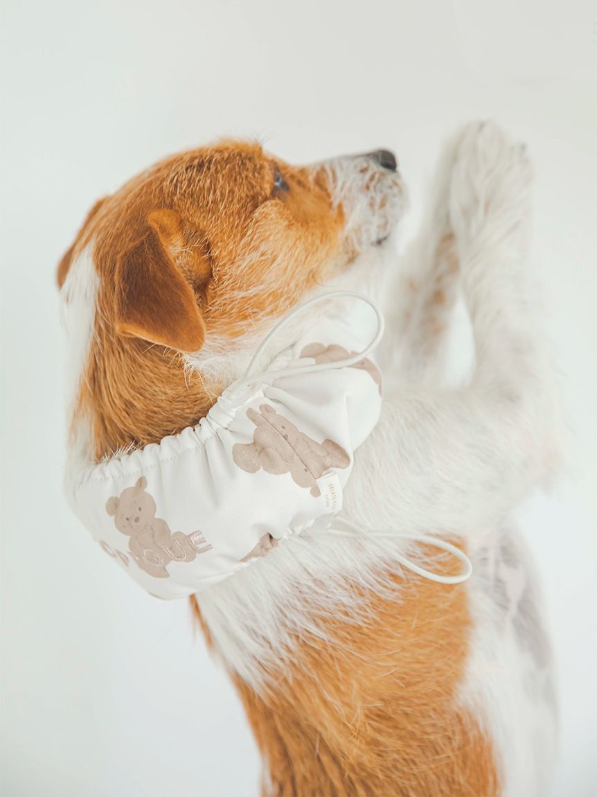  GELATO PIQUE CAT&DOG「【CAT&DOG】【販路限定商品】COOLネックカバー」|その他|