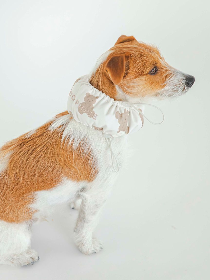  GELATO PIQUE CAT&DOG「【CAT&DOG】【販路限定商品】COOLネックカバー」|その他|