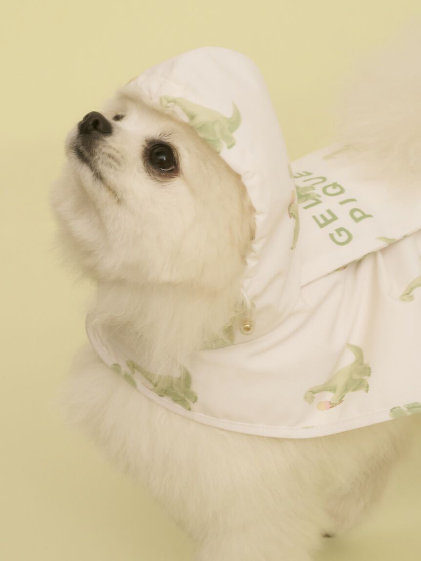  GELATO PIQUE CAT&DOG「【CAT&DOG】【販路限定商品】レインポンチョ」|その他|