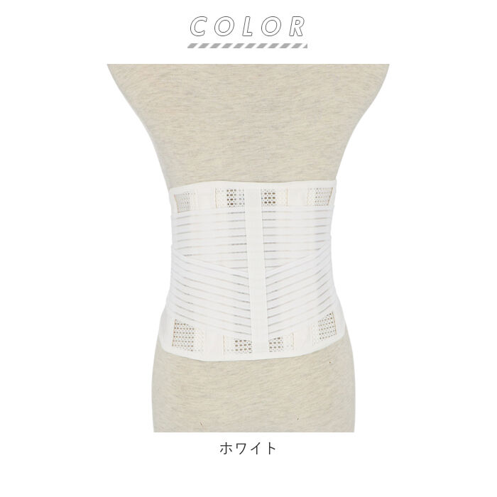 BACKYARD FAMILY「ソルボ サポーター 通販 ソルボ楽らく腰ガード ソルボセイン 腰サポーター スポーツ 女性 薄型」|その他|