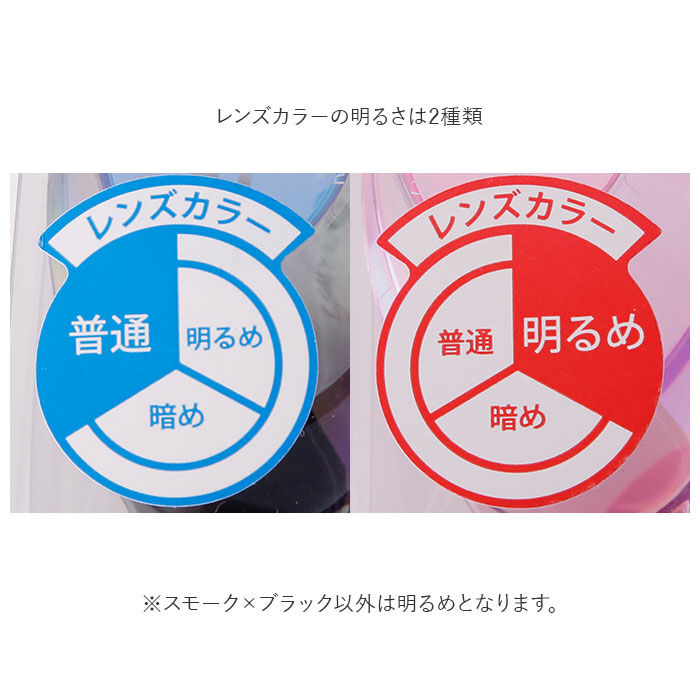 BACKYARD FAMILY「ゴーグル 水泳 通販 大人 メンズ レディース 水中メガネ 水中眼鏡 SWANS スワンズ」|その他|