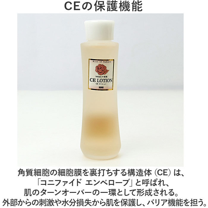 BACKYARD FAMILY「保湿ローション 通販 CE ローション 120ml スキンケア 保湿 モイストローション 乾燥肌」|フェイスマスク・パック|